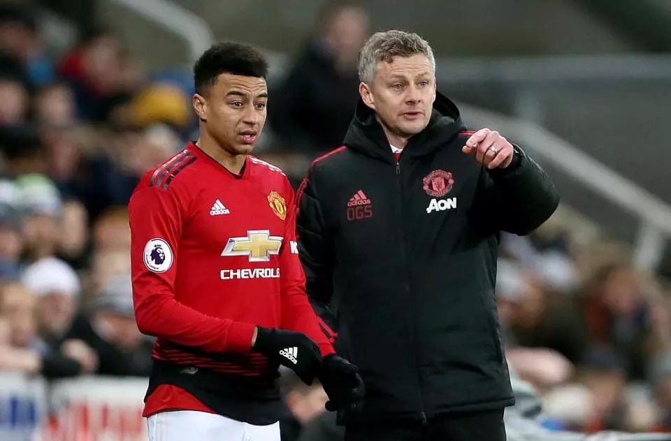 也为中国羽 也为中国羽